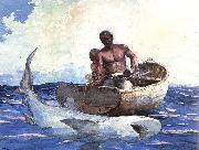 Winslow Homer Shark Fishing oil painting